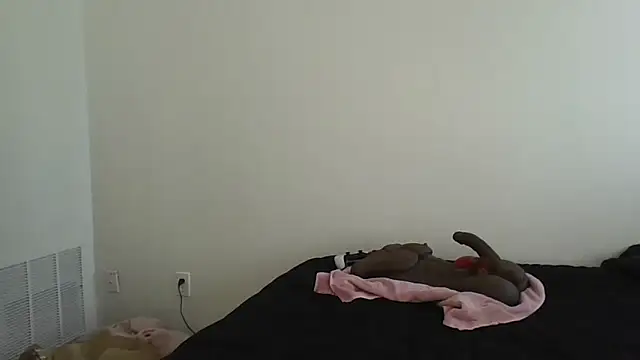 Snapshot of jaydadior chatting on October 2025 06:22:02 PM jaydadior online show from October 2025 06:22:02 PM