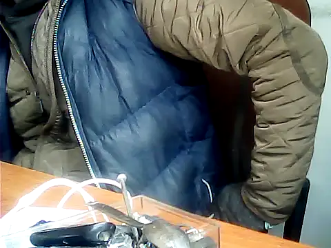 zormen355 online show from December 2025 11:33:02 AM