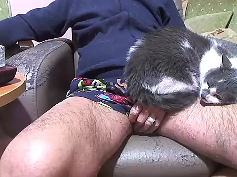 zormen355 online show from April 2026 07:48:01 PM