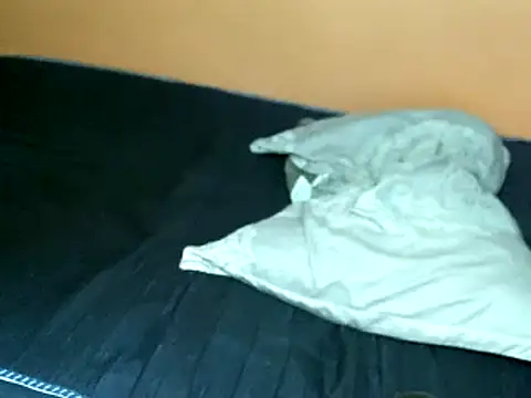 Snapshot of princess-maira chatting on March 2025 02:21:02 PM princess-maira online show from March 2025 02:21:02 PM