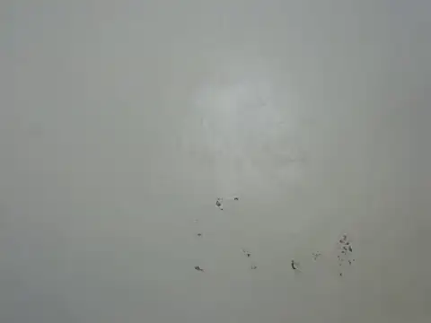 Rasta tattooed online show from February 2026 10:50:02 PM