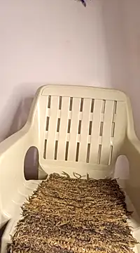 Jessicca Cum online show from March 2025 06:52:01 PM