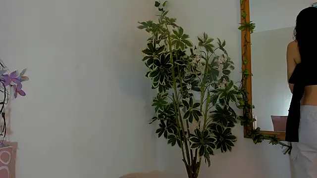 FaloonRoussel online show from June 2026 06:27:01 PM