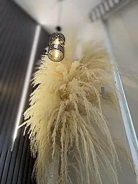 Rose-euphoria online show from February 2026 09:04:01 PM