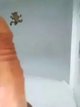 MATTIS11 online show from October 2025 11:47:02 PM