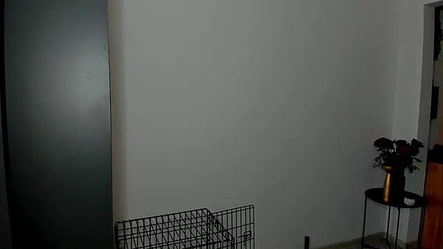 Patricia bloom online show from March 2026 07:36:01 AM