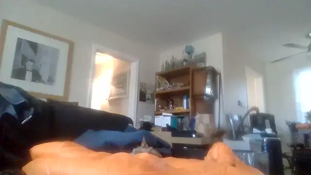 den-rock4u online show from December 2025 06:42:01 PM