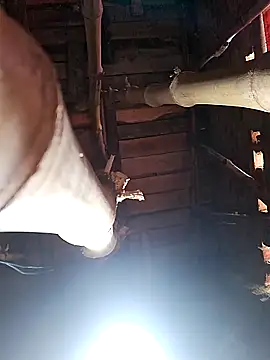 HotSexyBoudi online show from February 2026 08:27:02 AM