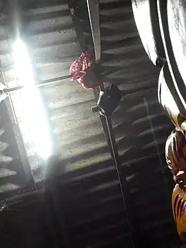 HotSexyBoudi online show from November 2025 08:40:01 AM