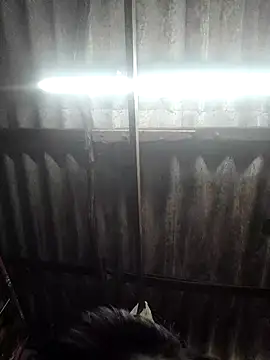 HotSexyBoudi online show from November 2025 08:58:02 AM