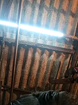 HotSexyBoudi online show from December 2025 09:04:02 AM