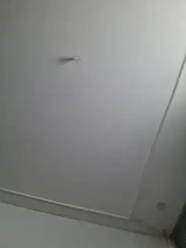 Maryan27 online show from February 2026 11:53:02 AM