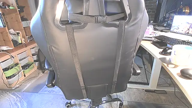 MagnusCockus online show from May 2026 12:19:01 PM