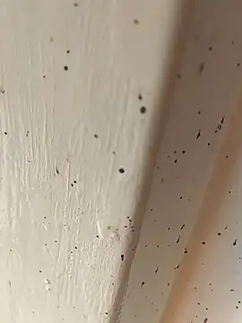 Camila erotica online show from April 2026 02:45:02 PM