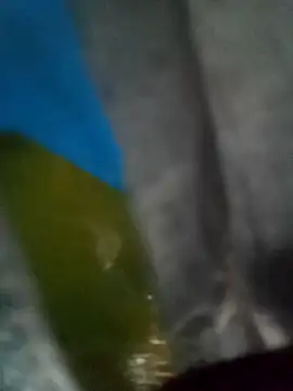 Camila erotica online show from April 2026 04:35:01 PM