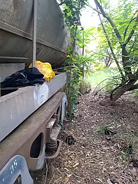 Petrossa online show from November 2025 09:02:02 AM