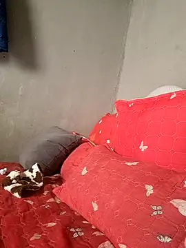 Petrossa online show from January 2026 11:47:01 AM