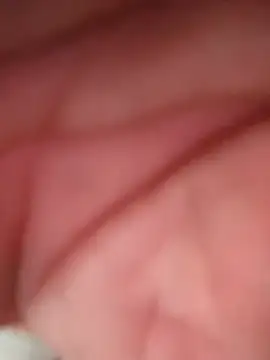 WilldoPita online show from February 2026 04:17:02 PM