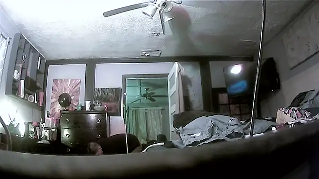 trash4cash online show from March 2026 02:36:02 AM