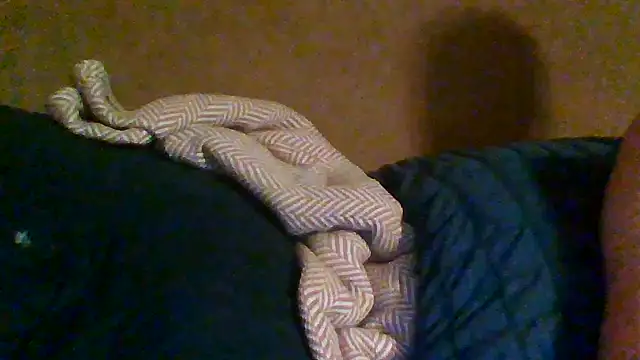 trash4cash online show from October 2025 02:19:01 AM