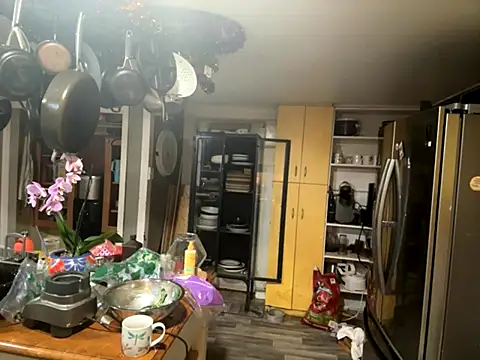 trash4cash online show from November 2025 08:20:01 PM