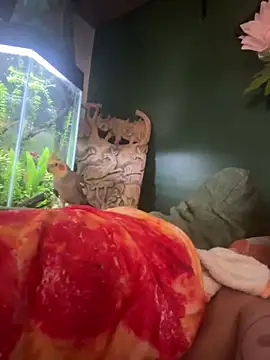 trash4cash online show from March 2025 02:34:02 PM