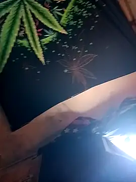 ySqmbVanbe online show from February 2026 04:49:02 PM