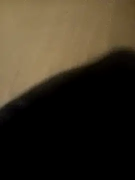 ySqmbVanbe online show from November 2025 04:56:01 AM