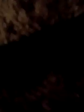 ySqmbVanbe online show from March 2026 01:56:01 AM