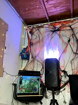 Snapshot of sweet_kamil chatting on October 2025 03:03:01 AM sweet kamil online show from October 2025 03:03:01 AM