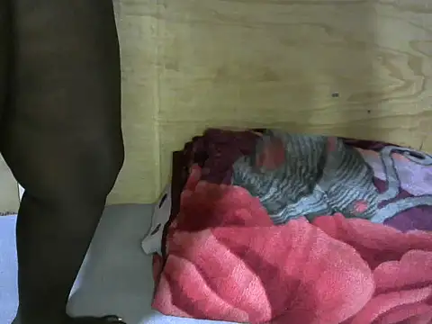 AFRICAN ASS001 online show from June 2026 05:29:02 AM
