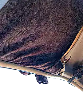 FloppyPickle4u online show from January 2026 04:11:01 PM