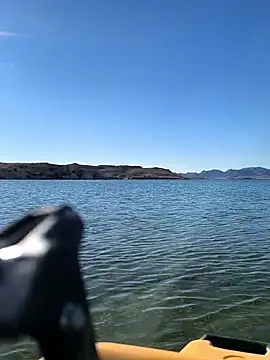 FloppyPickle4u online show from March 2026 03:59:02 PM