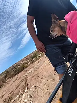 FloppyPickle4u online show from February 2026 05:56:02 PM