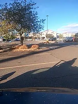 FloppyPickle4u online show from September 2025 03:10:02 PM