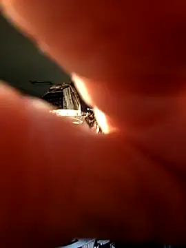 Talenjames4 online show from April 2026 10:44:02 PM