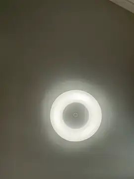 Lady MiaOlson online show from January 2025 04:36:02 AM