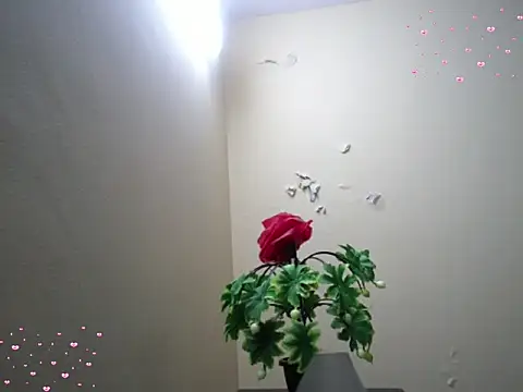 Snapshot of Arushisingh8888 chatting on December 2025 11:36:02 AM Arushisingh8888 online show from December 2025 11:36:02 AM