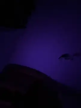 Micky  love online show from October 2025 12:56:02 AM