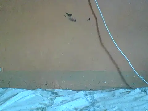 Naivegirrl online show from February 2026 10:13:02 AM