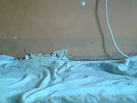 Naivegirrl online show from February 2026 11:22:01 AM