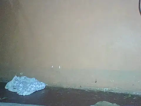 Naivegirrl online show from December 2025 10:33:02 PM