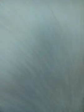 littlequeen77 online show from March 2025 04:03:02 AM