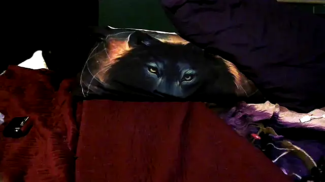 Snapshot of wolfgirl97 chatting on December 2025 12:26:01 PM wolfgirl97 online show from December 2025 12:26:01 PM