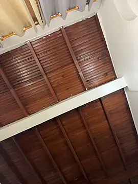 emiss  online show from March 2026 03:11:02 PM