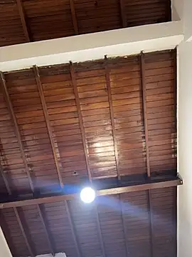 emiss  online show from February 2026 03:09:01 PM