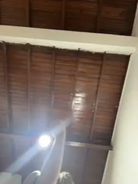 emiss  online show from December 2025 04:22:01 PM