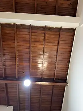 emiss  online show from February 2026 03:18:01 PM