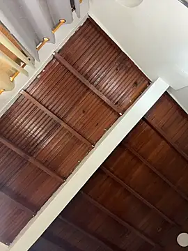 emiss  online show from March 2026 03:46:02 PM