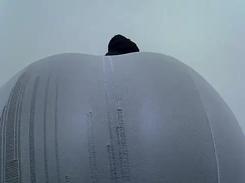 doctor deee online show from February 2026 04:06:01 PM